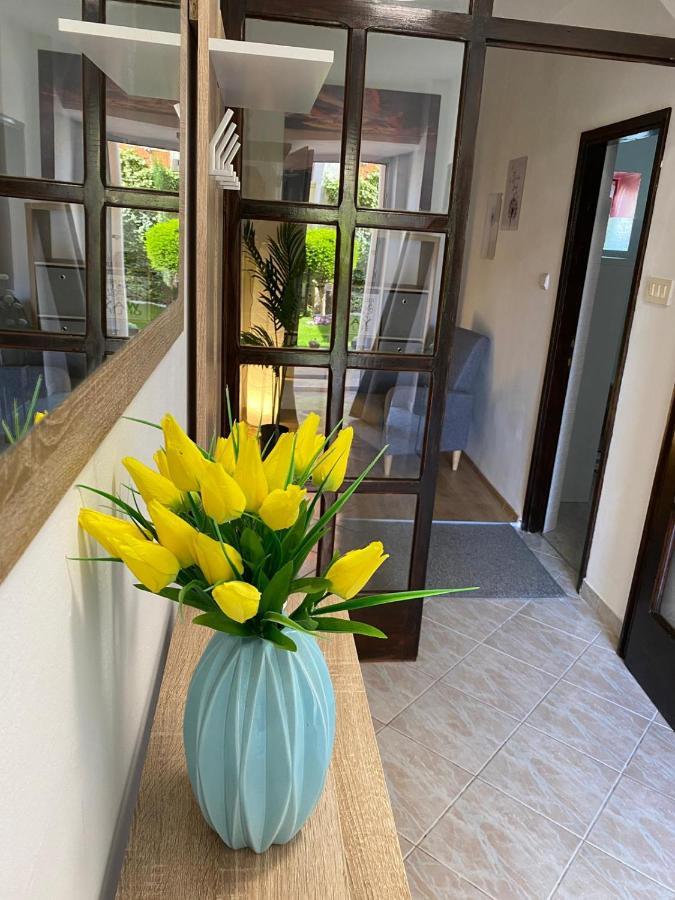 Apartment Dora 扎达尔 外观 照片