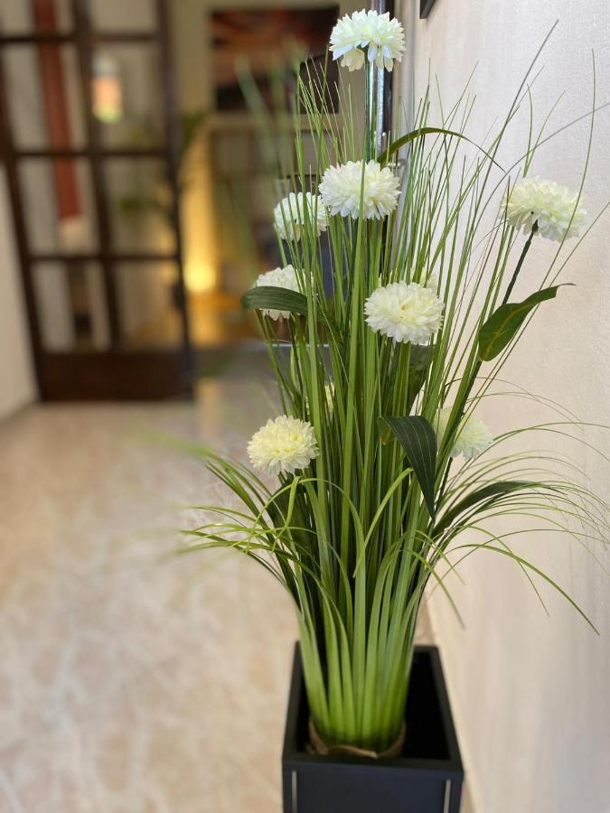 Apartment Dora 扎达尔 外观 照片