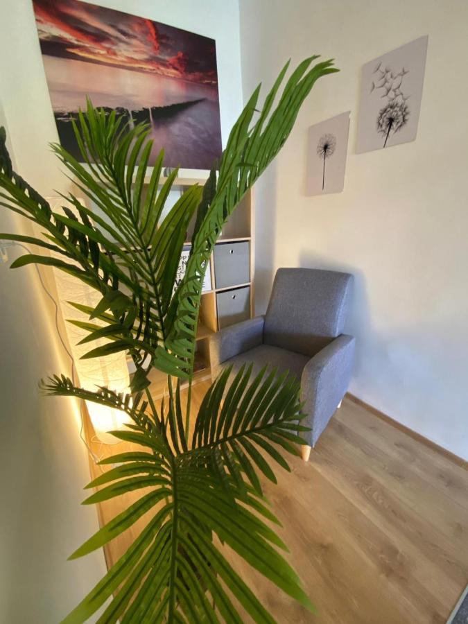 Apartment Dora 扎达尔 外观 照片