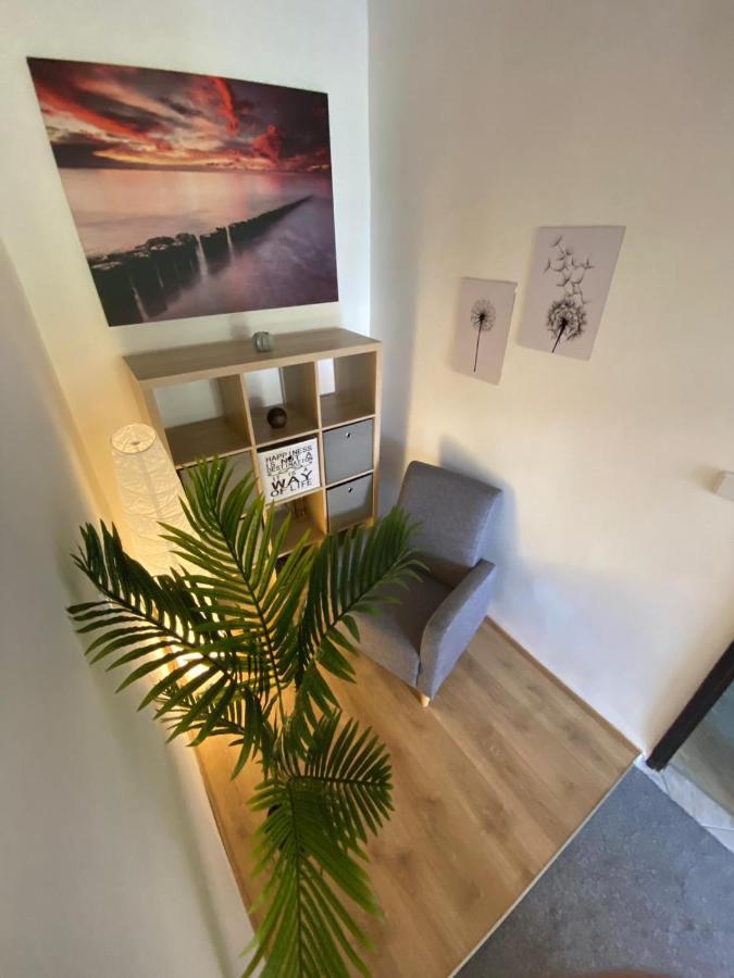 Apartment Dora 扎达尔 外观 照片