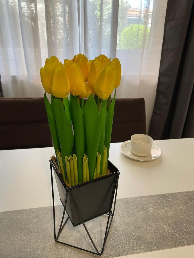 Apartment Dora 扎达尔 外观 照片