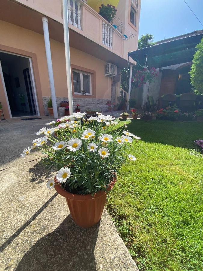 Apartment Dora 扎达尔 外观 照片
